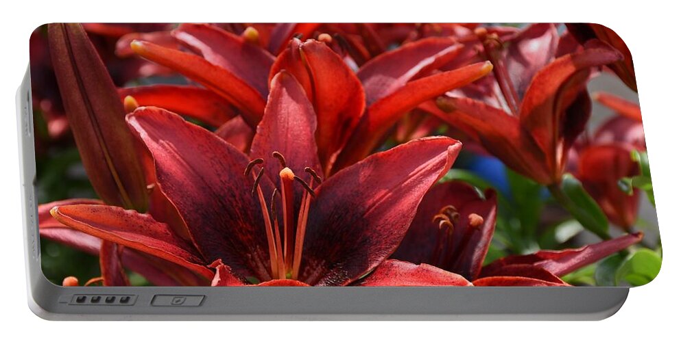 Lily Portable Battery Charger featuring the photograph Flowers 799 by Joyce StJames