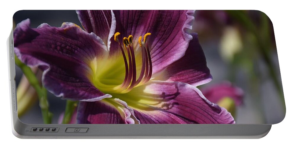 Lily Portable Battery Charger featuring the photograph Flowers 818 by Joyce StJames