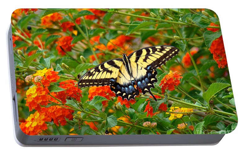 Swallowtail Portable Battery Charger featuring the photograph Flowers for Butterflies by Sue Melvin