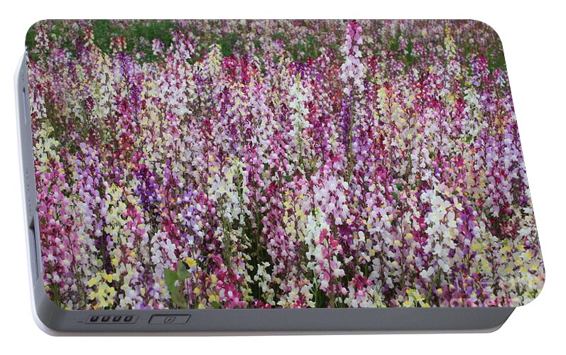 Field Of Flowers Portable Battery Charger featuring the photograph Flowers Forever by Carol Groenen