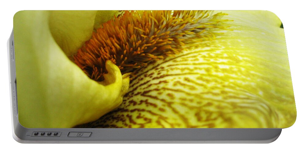 Flower Portable Battery Charger featuring the photograph Flowerscape Yellow Iris Six by Laura Davis