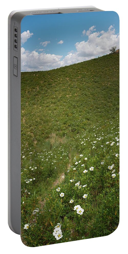 Green Portable Battery Charger featuring the photograph Flowery Hills by Carlos Caetano