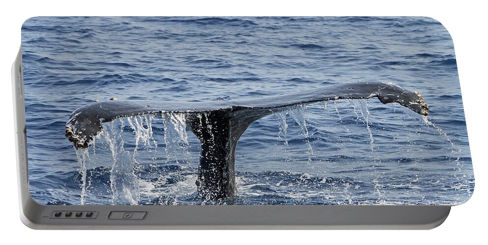 Humpback Whale Portable Battery Charger featuring the photograph Fluke by Shoal Hollingsworth
