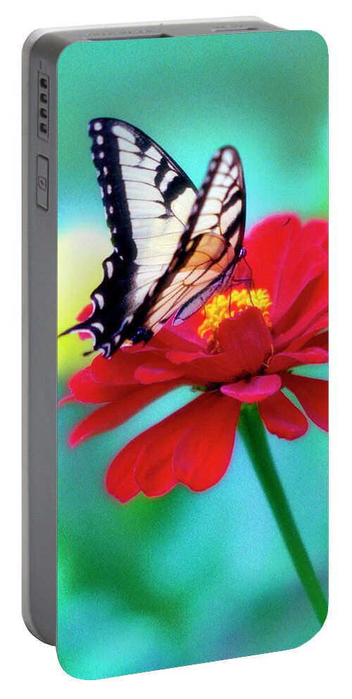 Jigsaw Portable Battery Charger featuring the photograph Flutter by Carole Gordon