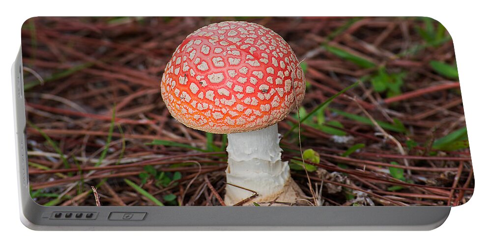 Mushroom Portable Battery Charger featuring the photograph Fly Agaric Mushroom by Kenneth Albin
