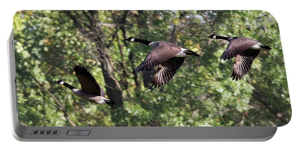 Geese Portable Battery Charger featuring the photograph Fly Away by Jackson Pearson