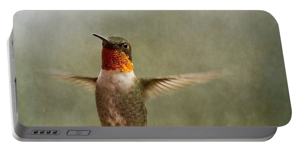Bird Portable Battery Charger featuring the photograph Fly Free Hummer by Bill and Linda Tiepelman