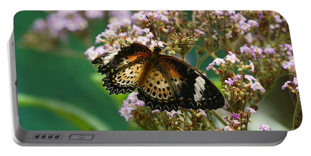 Butterfly Portable Battery Charger featuring the photograph Flying High 1 by Dimitry Papkov