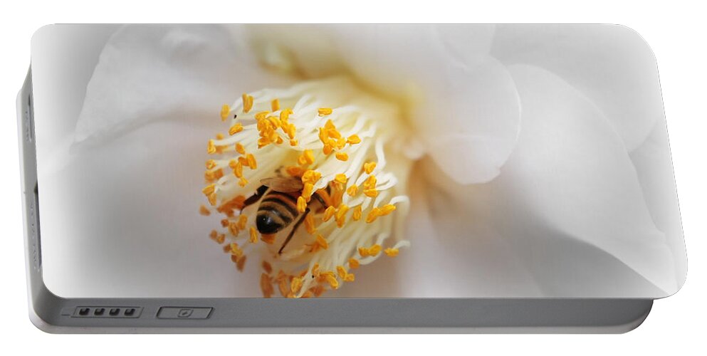 Nature Portable Battery Charger featuring the photograph Focus on Bee in White Camellia by Carol Groenen