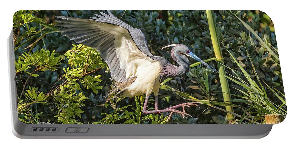 Herons Portable Battery Charger featuring the photograph Focused On A Pile Landing by DB Hayes
