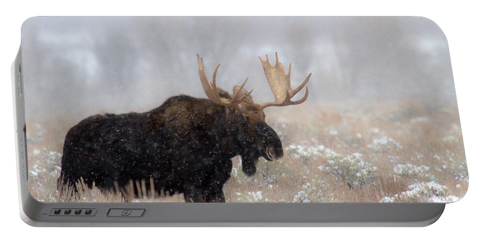 Moose Portable Battery Charger featuring the photograph Foggy Moose Silhouette by Adam Jewell
