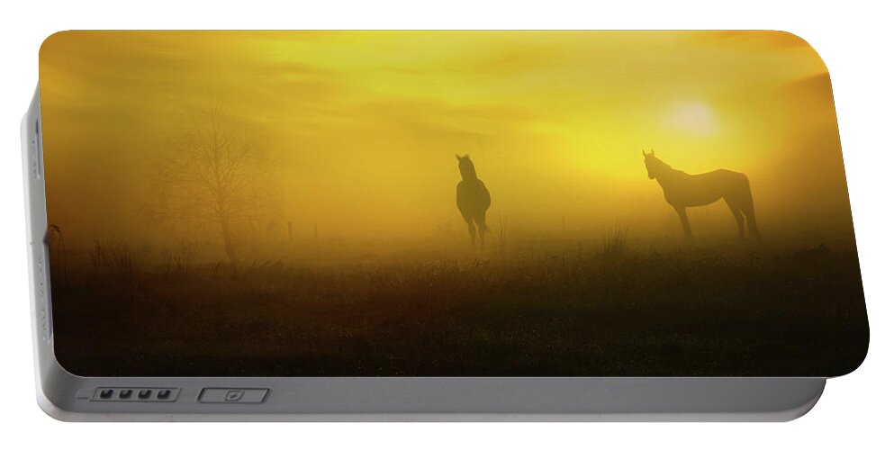 Foggy Sunset Portable Battery Charger featuring the photograph Foggy sunset by Lilia D