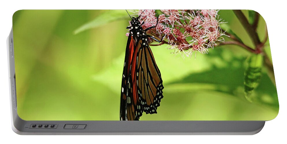 Monarch Portable Battery Charger featuring the photograph Folded Monarch by Debbie Oppermann