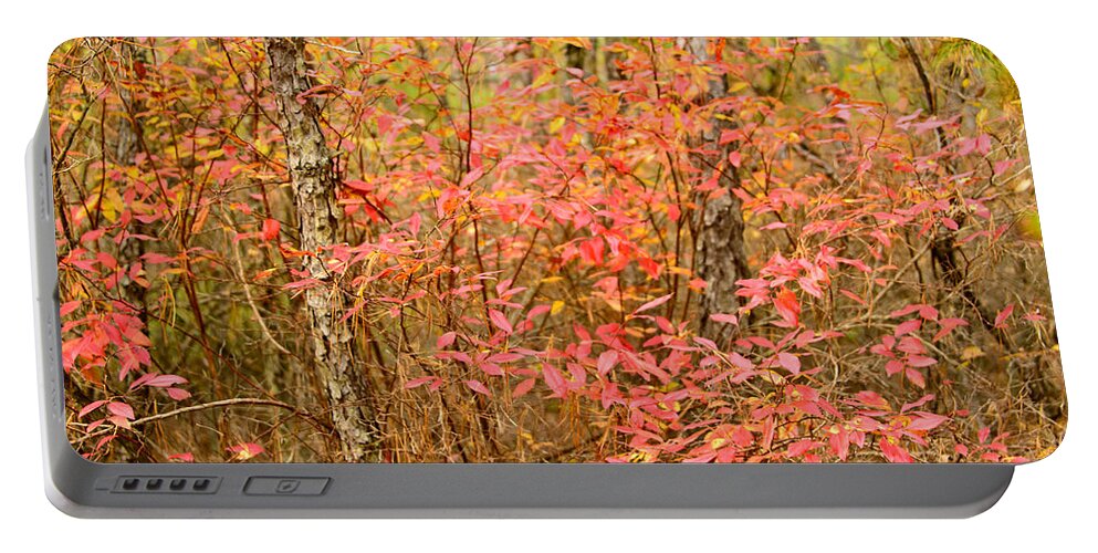 Autumn Portable Battery Charger featuring the photograph Foliage on Fire by Louis Dallara