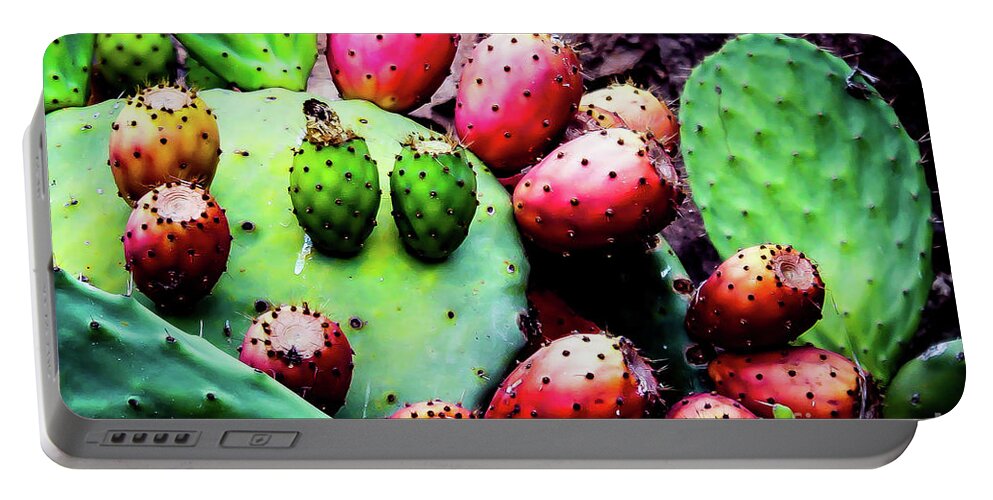 Cactus Portable Battery Charger featuring the photograph Forbidden Fruit by Adam Morsa