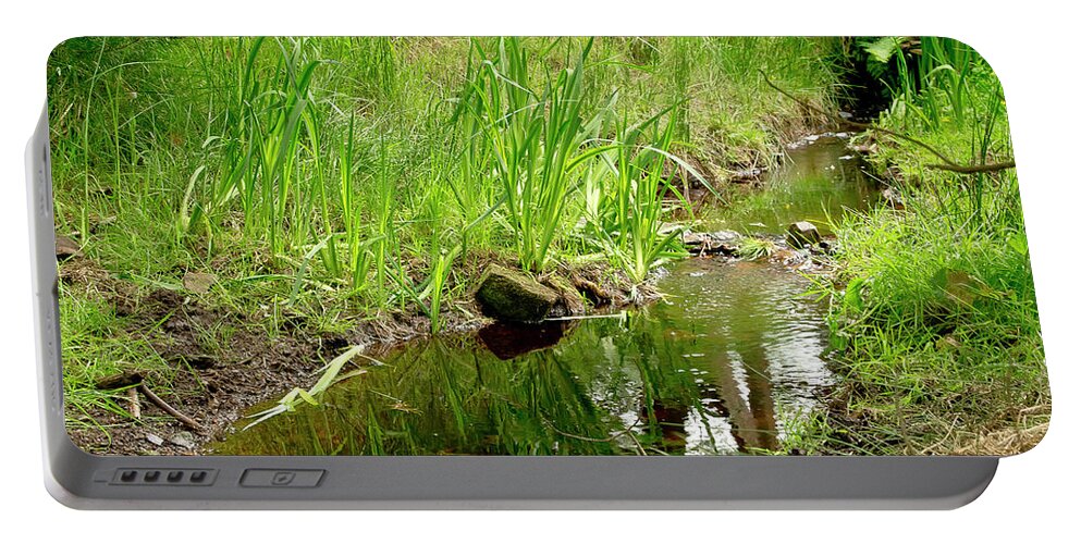 Brook Portable Battery Charger featuring the photograph Forest Brook by Elena Perelman