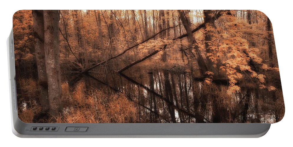 Forest Portable Battery Charger featuring the photograph Forest Directional by Karl Anderson