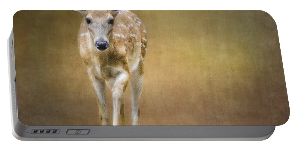 Fawn Portable Battery Charger featuring the photograph Forest Fawn by Peg Runyan