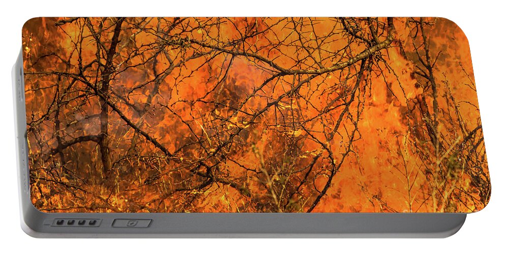 Blaze Portable Battery Charger featuring the photograph Forest fire by Benny Marty