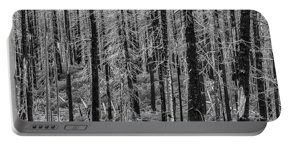 Fire Portable Battery Charger featuring the photograph Forest Fire by Scott Slone