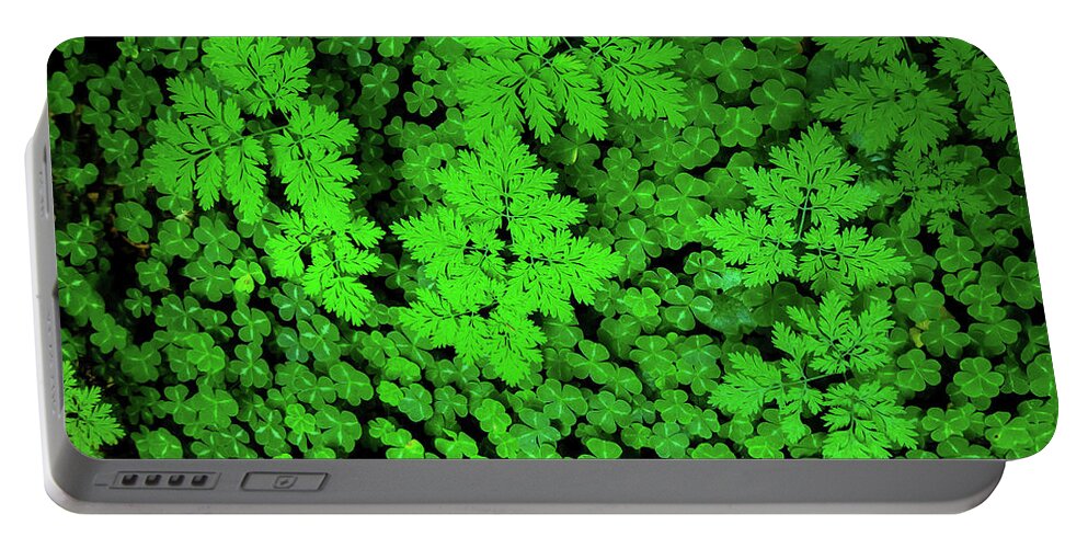 Forest Portable Battery Charger featuring the photograph Forest Floor - Northern California by Henri Irizarri