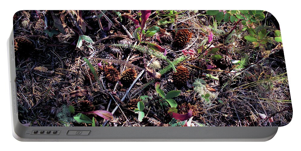 Pine Cones Portable Battery Charger featuring the photograph Forest Floor by Scott Carlton