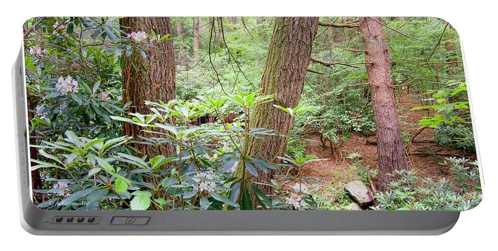 Forest Interior Portable Battery Charger featuring the photograph Forest Interior with Mountain Laurel by A Macarthur Gurmankin