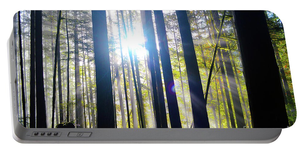 Forest Portable Battery Charger featuring the photograph Forest Light Rays by Brian O'Kelly