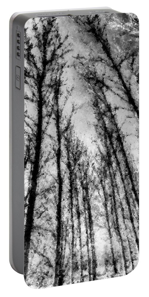 Pastel Trees Portable Battery Charger featuring the photograph Forest Pastel by David Pyatt