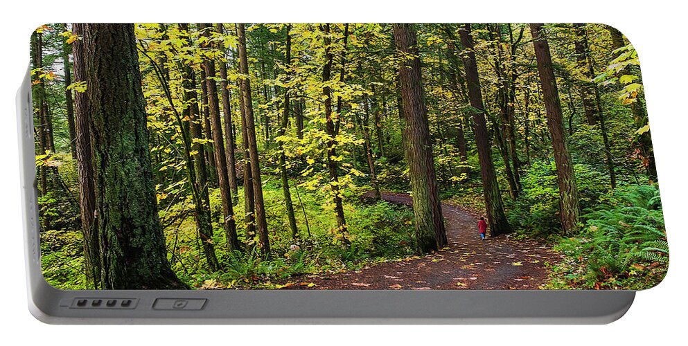 Trees Portable Battery Charger featuring the photograph Forest Pathway by John Christopher