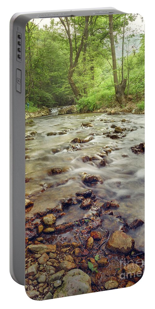 Waterfall Portable Battery Charger featuring the photograph Forest river cascades by Jelena Jovanovic