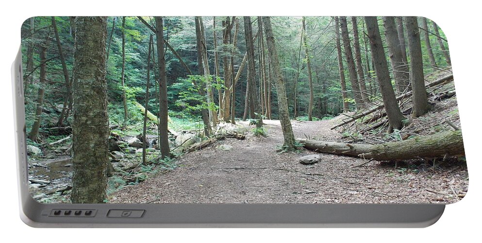 North Adams Portable Battery Charger featuring the photograph Forest Trail Along Brook by Catherine Gagne