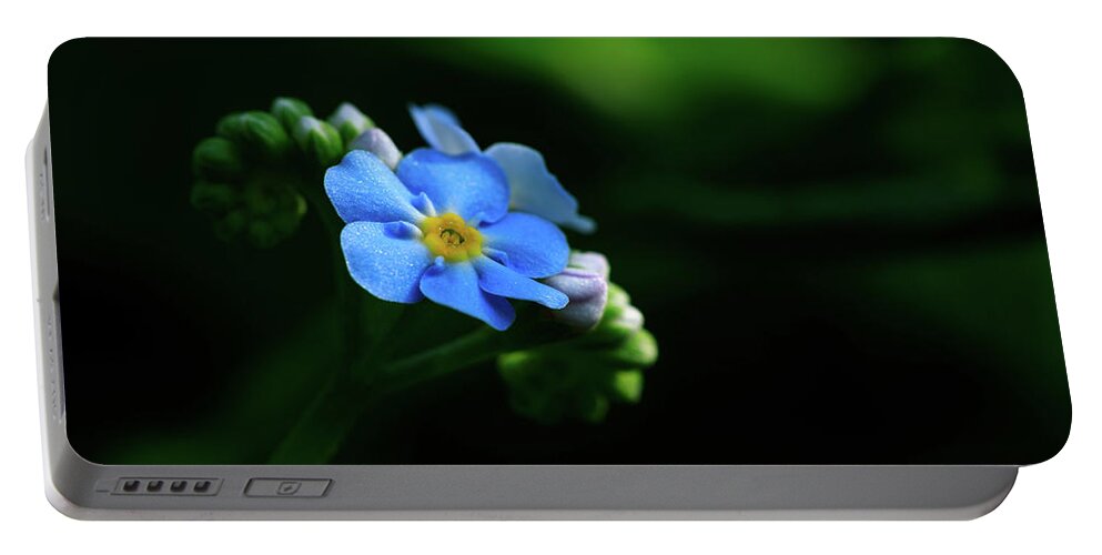 Forget-me-not Portable Battery Charger featuring the photograph Forget-me-not by Rob Davies