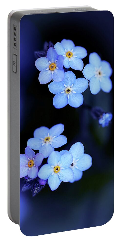 Flowers Portable Battery Charger featuring the photograph Forget Me Not by Vanessa Thomas