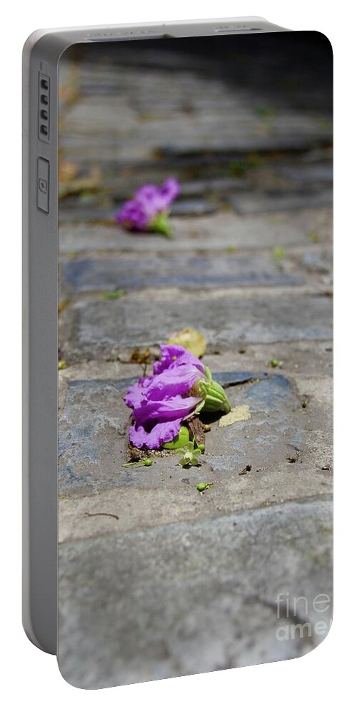 Purple Portable Battery Charger featuring the photograph Forgotten Beauty by Suzanne Oesterling