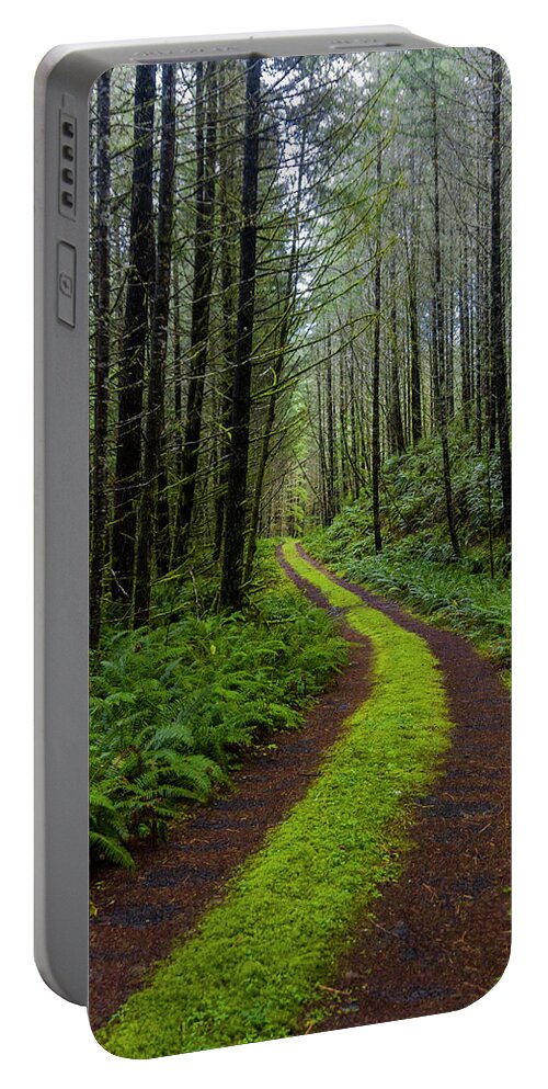 Forests Portable Battery Charger featuring the photograph Forgotten Roads by Steven Clark