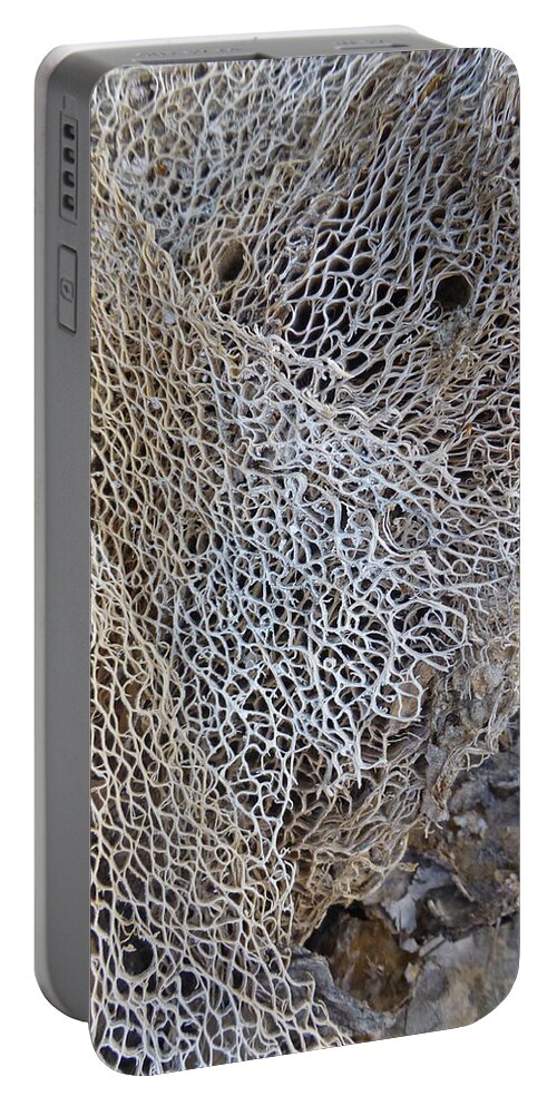 Desert Portable Battery Charger featuring the photograph Former Prickly Pear Cactus by Claudia Goodell