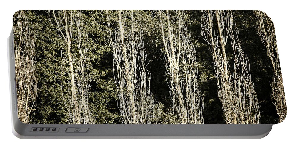Landscape Portable Battery Charger featuring the photograph Forrest View by Michael Nowotny