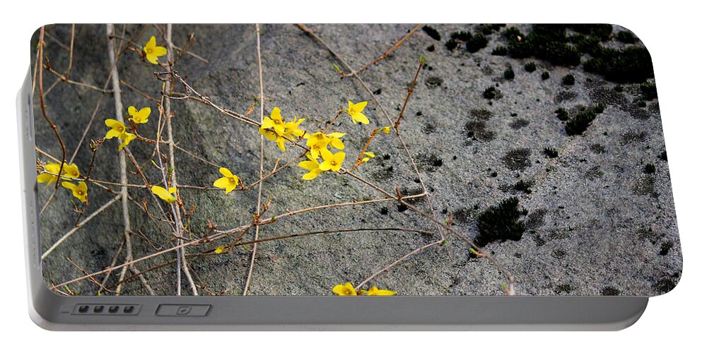 Flora Portable Battery Charger featuring the photograph Forsythia and Rock by Karen Adams