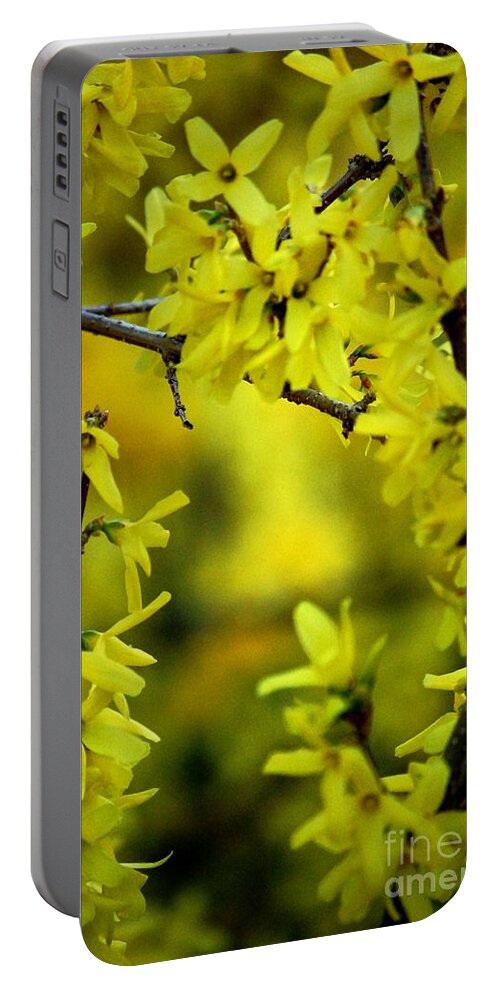 Spring Portable Battery Charger featuring the photograph Forsythia at the Hacienda by David Lane