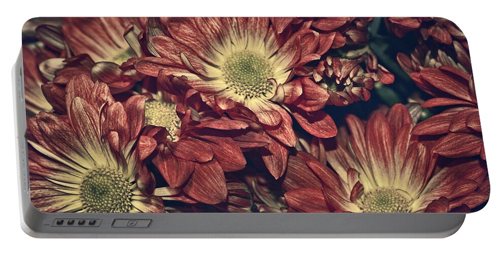 Daisies Portable Battery Charger featuring the photograph Foulee de petales - 04b by Variance Collections