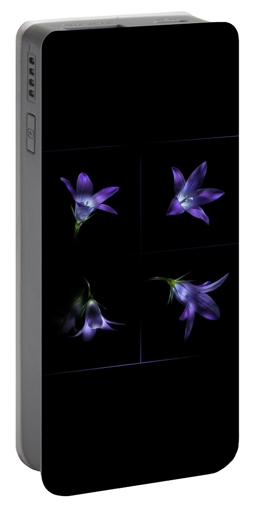 Bluebell Portable Battery Charger featuring the photograph Four bluebell flowers - light painting by Alexey Kljatov