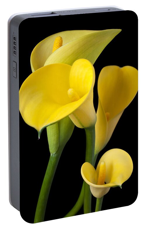 Yellow Portable Battery Charger featuring the photograph Four yellow calla lilies by Garry Gay