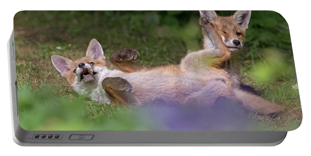 Fox Portable Battery Charger featuring the photograph Fox Cubs Playing by Pete Walkden