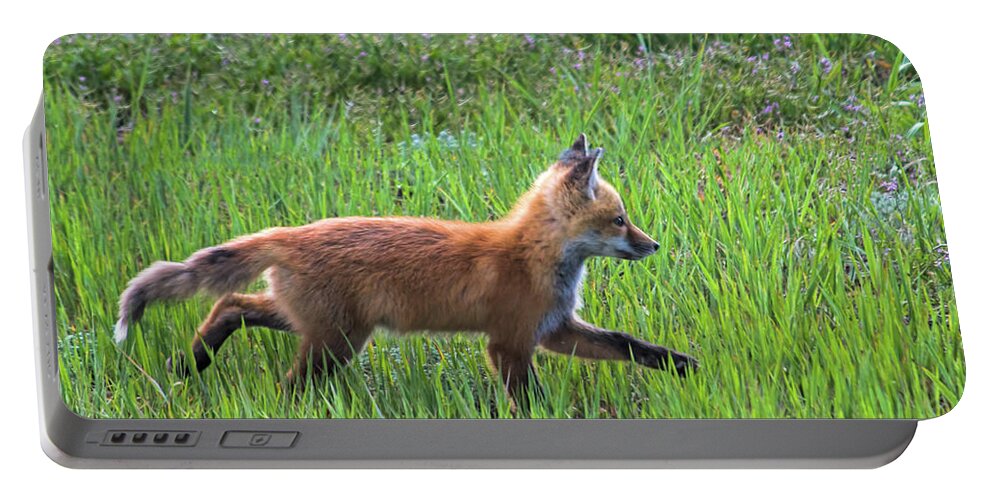 Fox Portable Battery Charger featuring the photograph Fox Trot by Alana Thrower