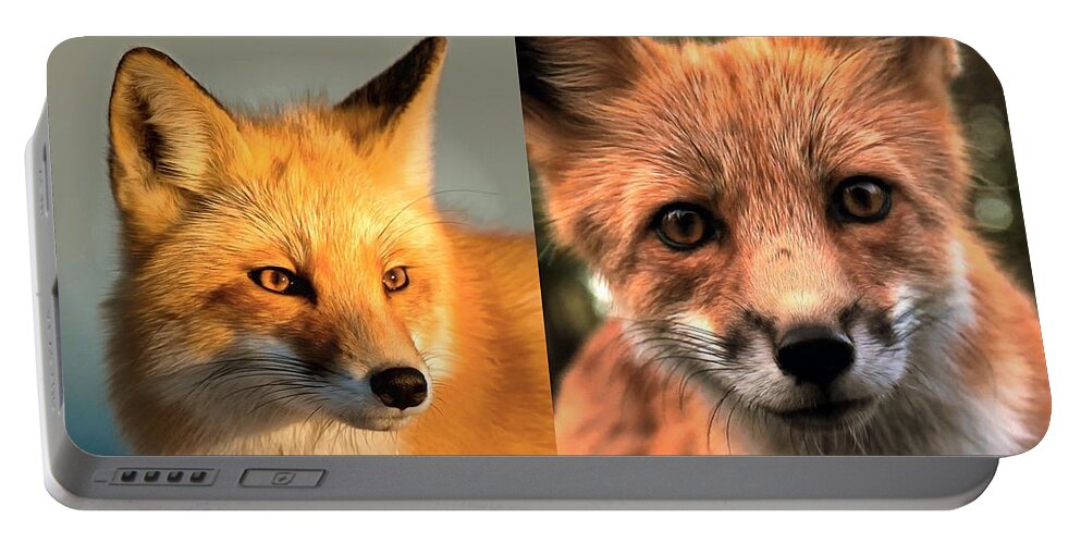 Fox Portable Battery Charger featuring the photograph Four By Fox by Jack Torcello