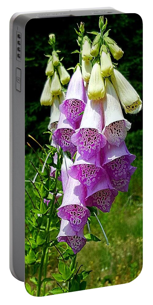 Lupins Portable Battery Charger featuring the photograph Foxglove by Michael Graham