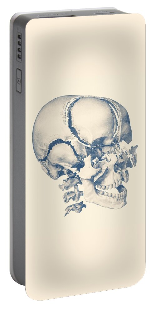 Skull Portable Battery Charger featuring the drawing Fragmented Human Skull - Vintage Anatomy Print by Vintage Anatomy Prints