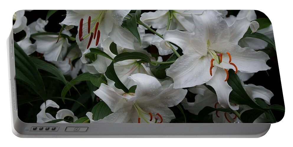 White Lilies Floral Portable Battery Charger featuring the photograph Fragrant Beauties by Jo Smoley