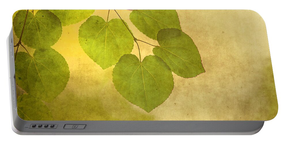 Leaves Portable Battery Charger featuring the photograph Framed in Light by Rebecca Cozart